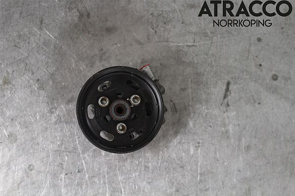 Power steering pump AUDI A6 Avant (4F5, C6)