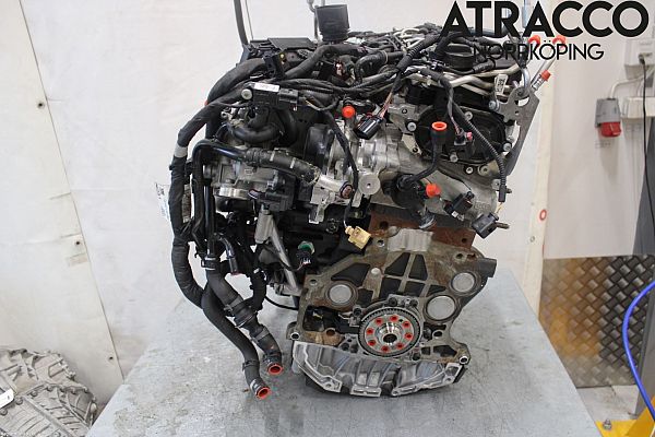 Engine AUDI A4 Avant (8W5, 8WD, B9)