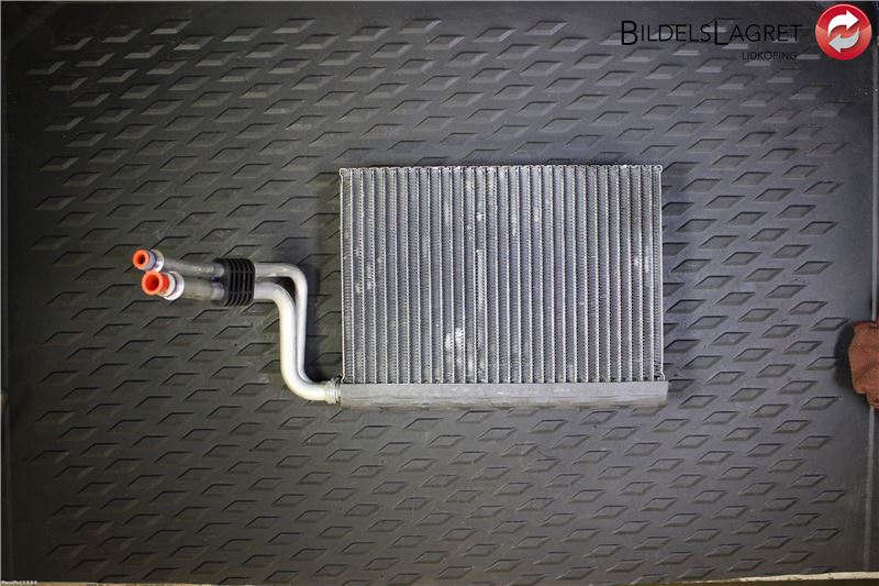 Kachel radiateur BMW X1 (E84)