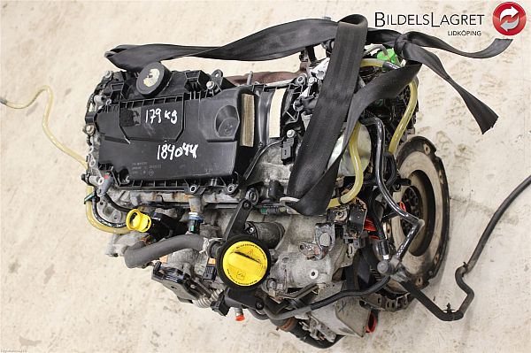 Motor