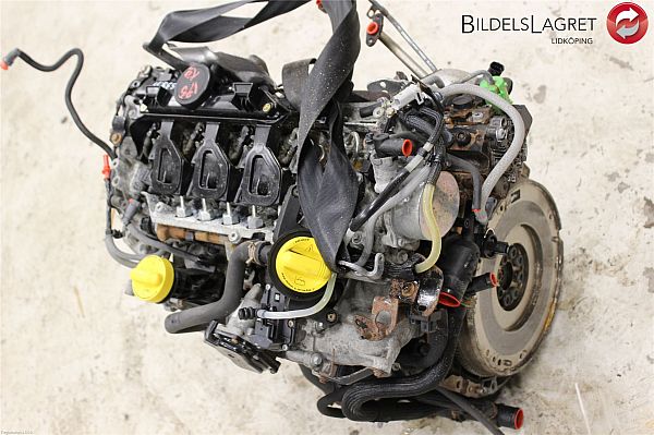 Motor