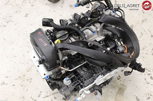 Motor SEAT IBIZA Mk IV (6J5, 6P1)