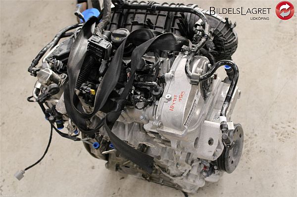 Motor