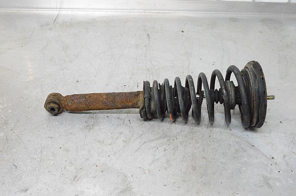 Federbein vorn NISSAN PRIMERA (P10)