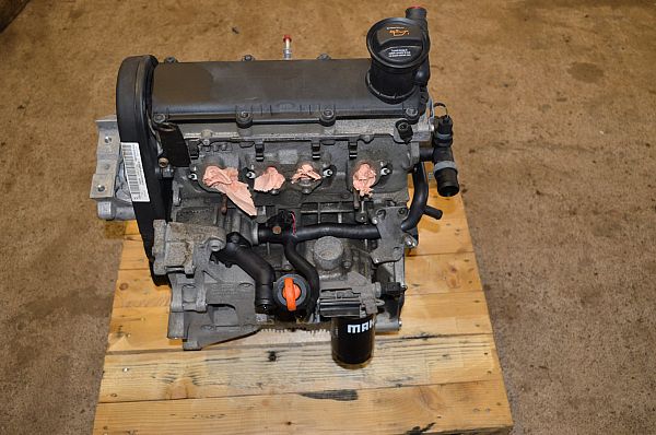 Motor SKODA OCTAVIA II Combi (1Z5)