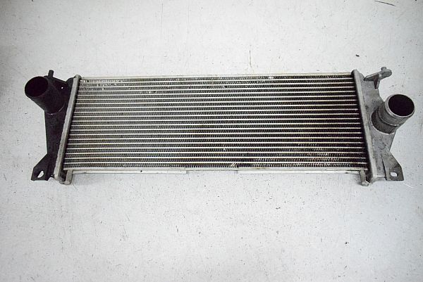 Heating element LAND ROVER DEFENDER Pickup (L316)