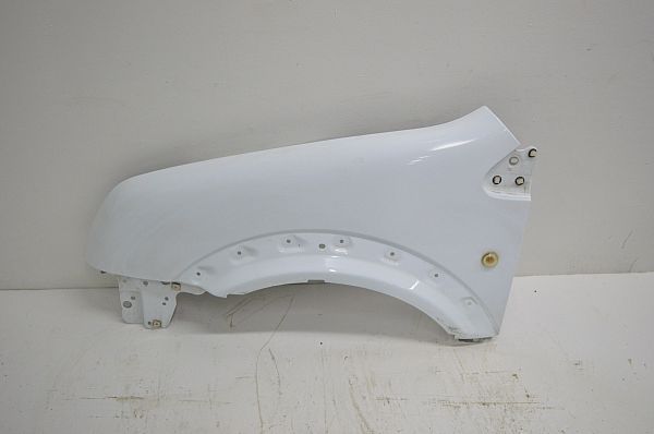Front wing left FORD TRANSIT CONNECT (P65_, P70_, P80_)