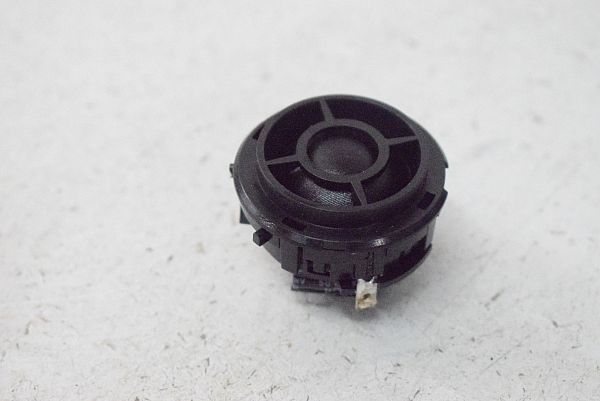 Front door high frequency speaker