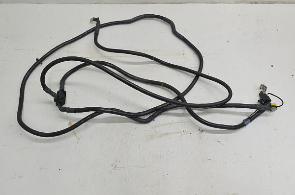 Kabel akumulatora VW PHAETON (3D1, 3D2, 3D3, 3D4, 3D6, 3D7, 3D8, 3D9)