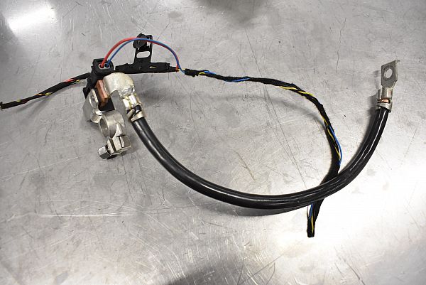 Kabel akumulatora BMW 2 Coupe (F22, F87)