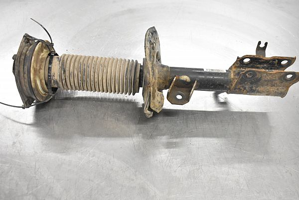 Federbein vorn NISSAN QASHQAI / QASHQAI +2 I (J10, NJ10, JJ10E)