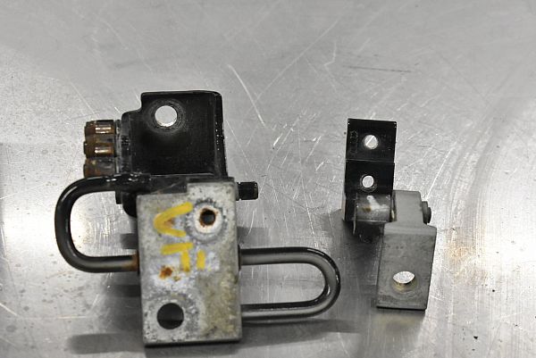 Lower door hinge