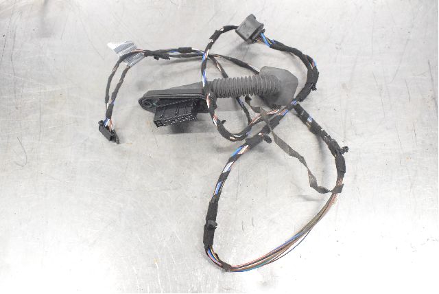 Rear door wiring loom