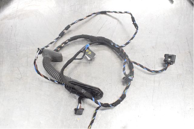 Front door wiring loom