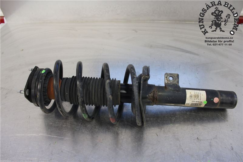 Fjederben for FORD TRANSIT CONNECT (P65_, P70_, P80_)