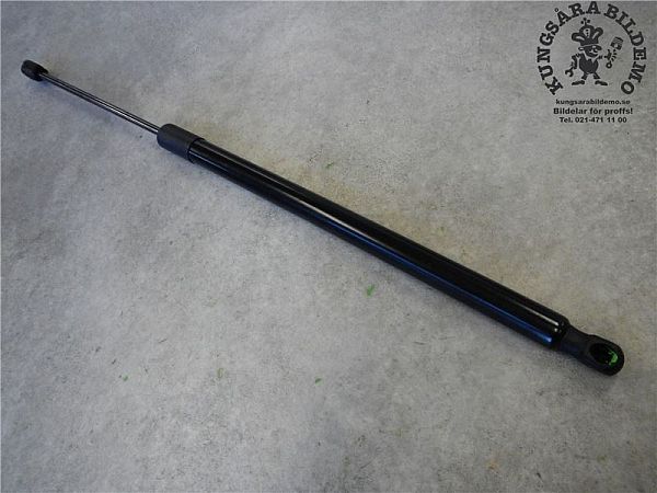 Tailgate strut