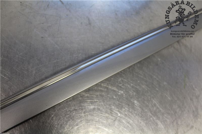 Door trim (molding)