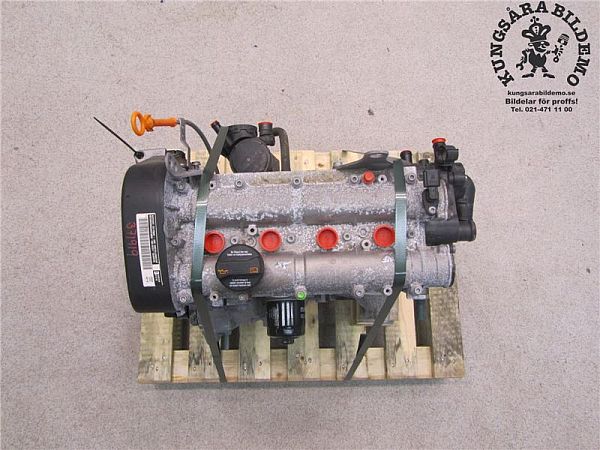Motor VW POLO (6R1, 6C1)