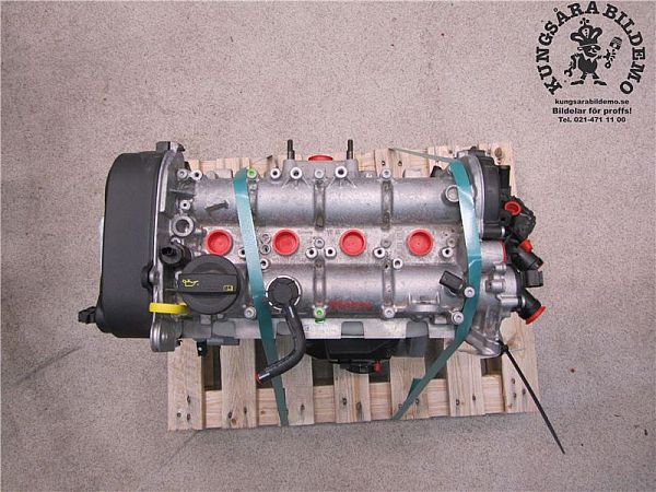 Motor SKODA RAPID Spaceback (NH1)