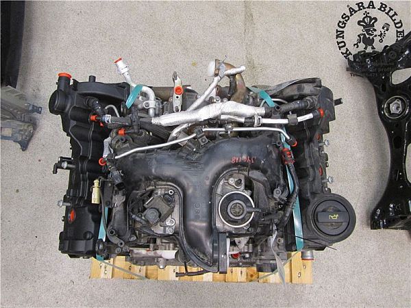 Motor PORSCHE MACAN (95B)