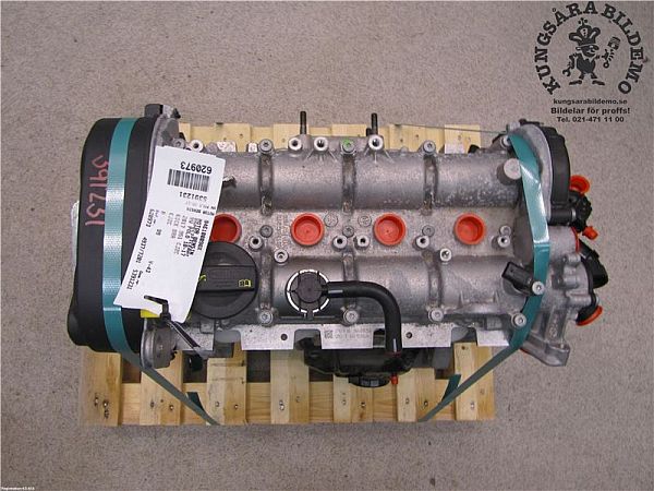 Motor VW POLO (6R1, 6C1)