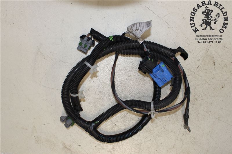 Ledningsnet - komplet FIAT DUCATO Platform/Chassis (250_, 290_)