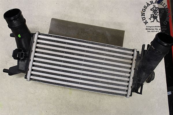 Ladeluftkühler FORD FIESTA VII (HU, HF)