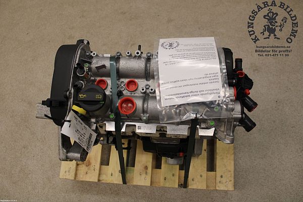 Motor
