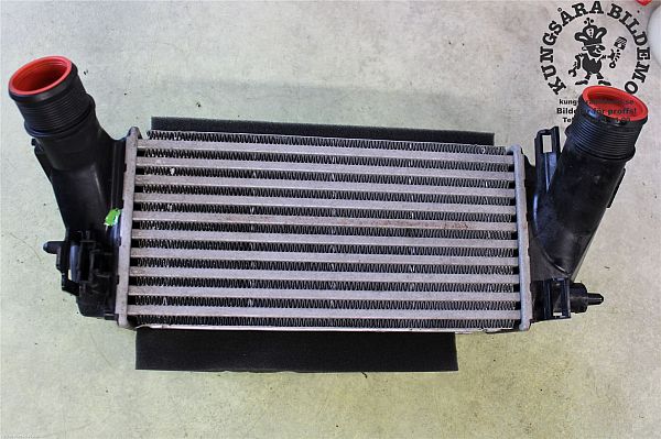 Ladeluftkühler FORD FIESTA VI (CB1, CCN)