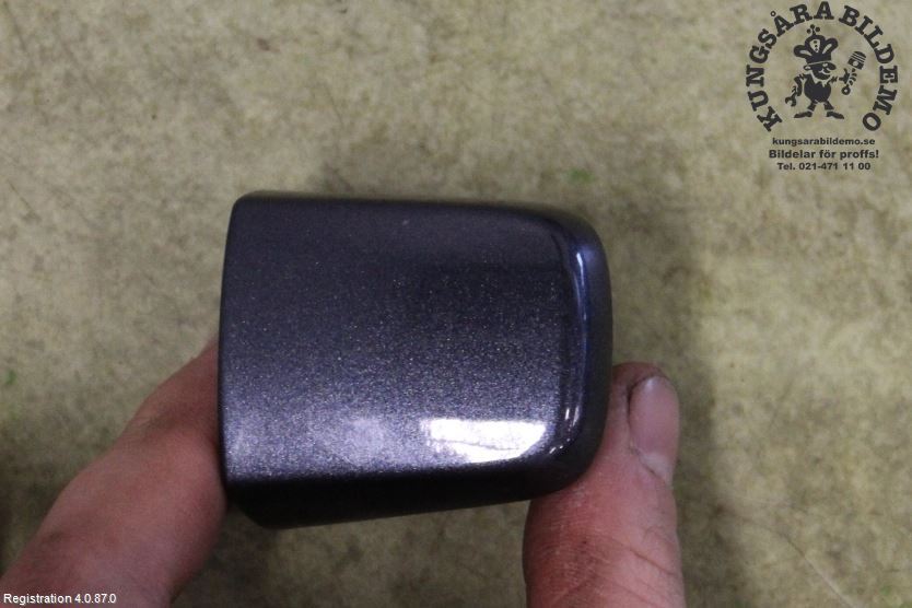 Handgriff aussen RENAULT KADJAR (HA_, HL_)