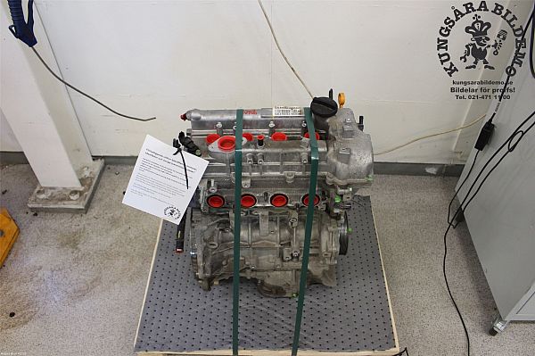 Engine HYUNDAI IONIQ (AE)