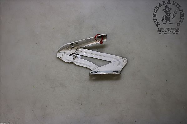 Hood hinges