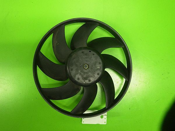 Radiator fan electrical FORD FIESTA V (JH_, JD_)