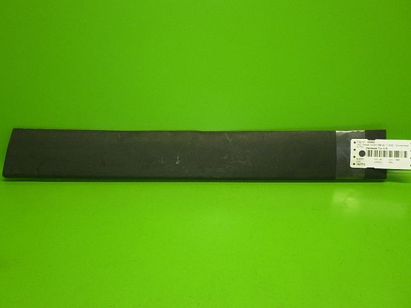 Door trim (molding)