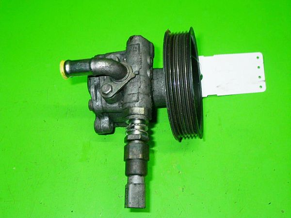 Power steering pump VW GOLF Mk IV (1J1)