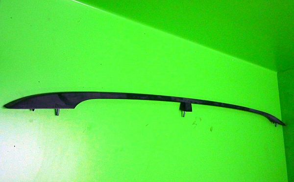 Roof rail VW PASSAT B6 Estate (3C5)