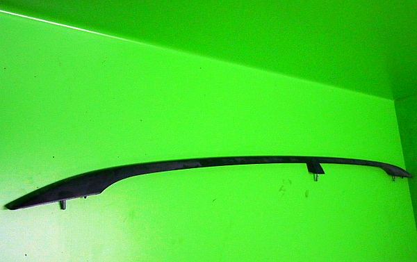 Roof rail VW PASSAT B6 Estate (3C5)
