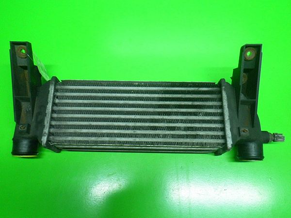 Ladeluftkühler FORD TRANSIT CONNECT (P65_, P70_, P80_)