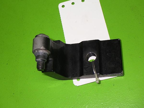 Lower door hinge