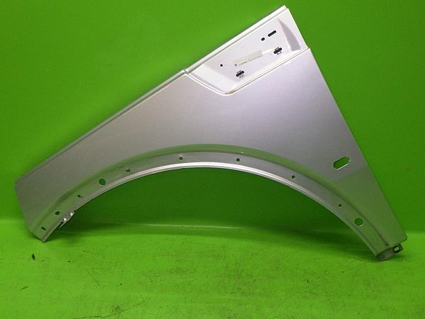 Car fender