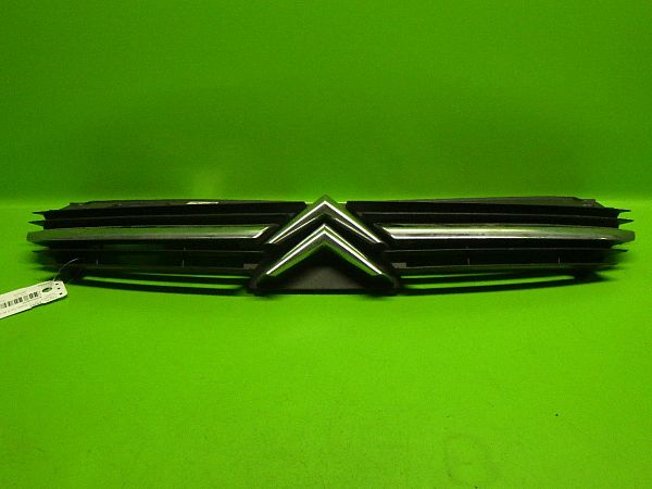 Grille de calandre avant