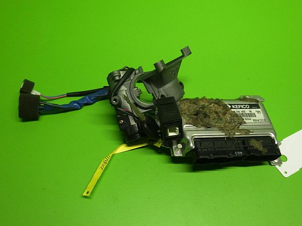 motorstyringsenhed (ECU) HYUNDAI AMICA / ATOZ (MX)