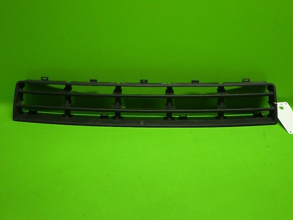Front bumper lower grill