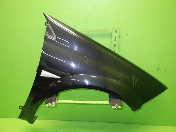 Forskærm højre RENAULT MEGANE II (BM0/1_, CM0/1_)