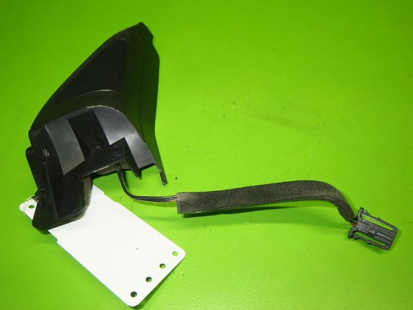 Front door high frequency speaker
