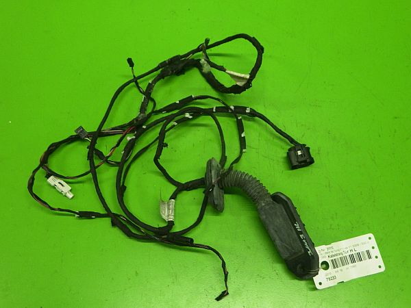 Rear door wiring loom