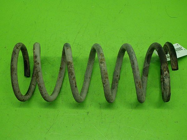 Rear spring - coil BUICK