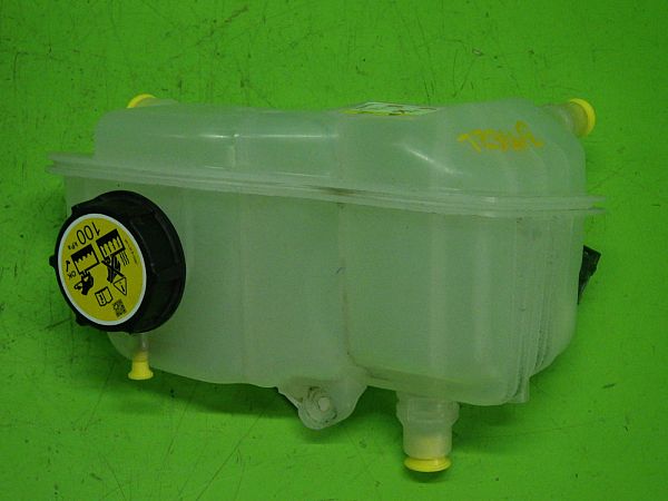 Ausgleichsbehälter JAGUAR I-PACE (X590)
