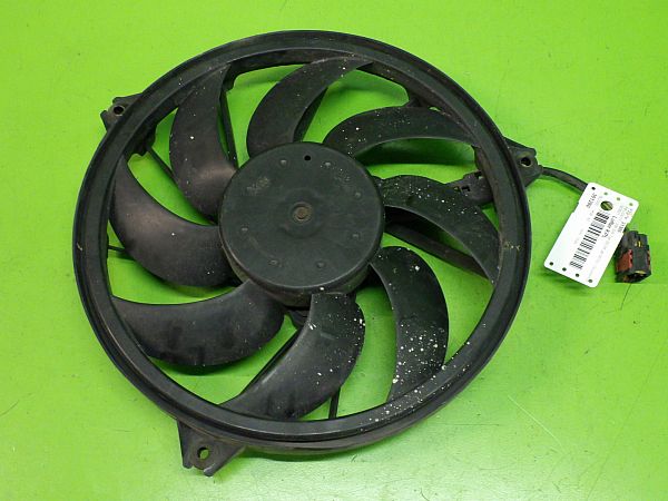 Radiator fan electrical PEUGEOT 206 SW (2E/K)