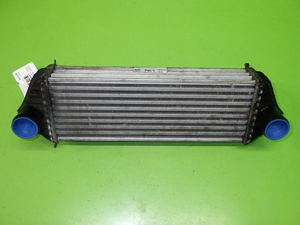 Ladeluftkühler FORD TRANSIT CONNECT (P65_, P70_, P80_)
